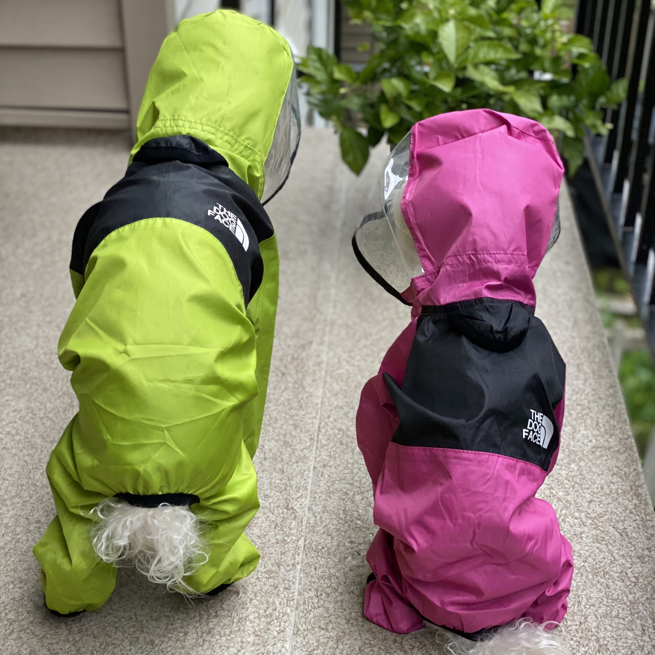 The Dog Face raincoat for small and medium size breeds