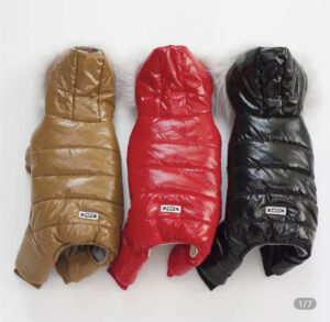 Waterproof pet winter jacket