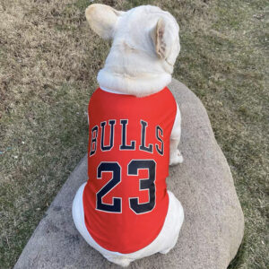 Jerseys for French bull dogs