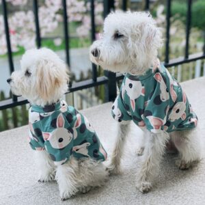 Pet clothes for small breed dogs and cats