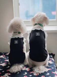 Pet clothes for small breed dogs or cats