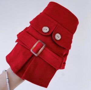 Stylish dog trench coats.
