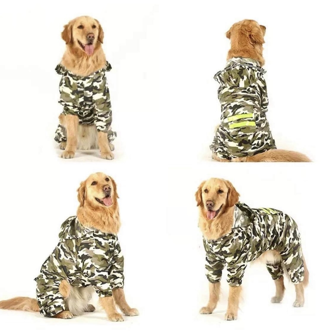 Great quality rain jacket for medium and large breed dogs