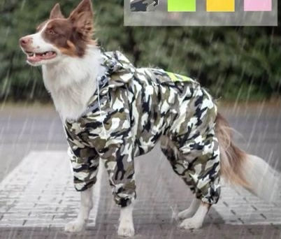 Great quality rain jacket for medium and large breed dogs