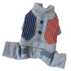 Warm winter jacket for small breeds