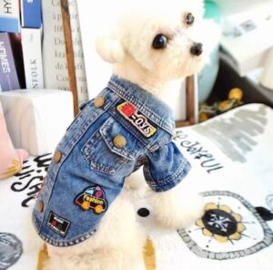 Cute Jean Jacket for small breed dogs