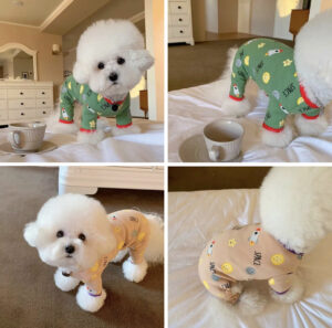 Dog pajamas for small breed dogs