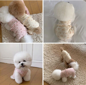 Dog pajamas for small breed dogs