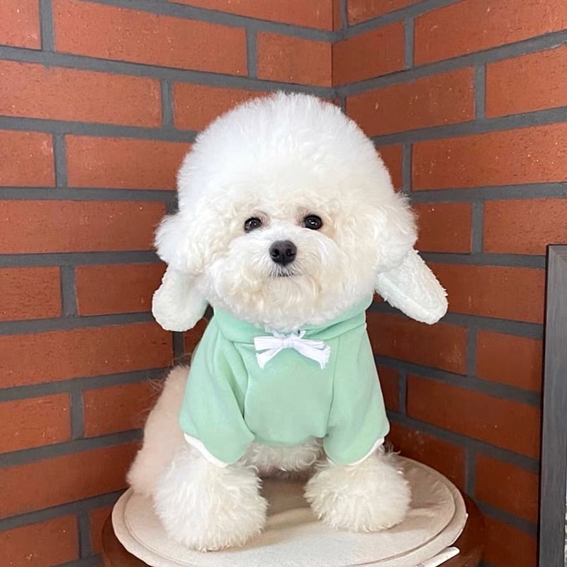 Cute dog hoodies for small breed dogs