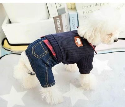 Warm dog winter jackets