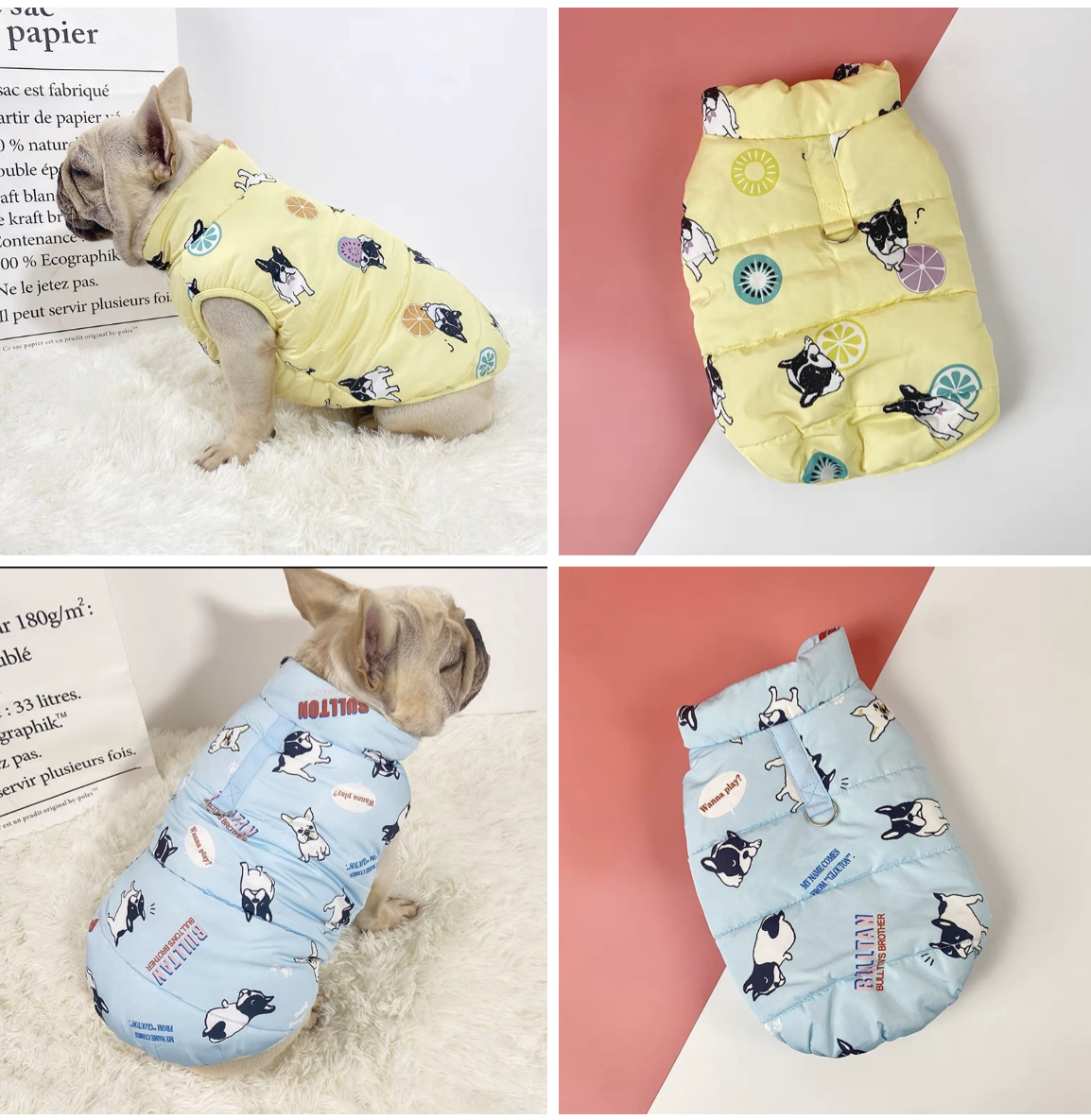 Warm water resistant winter coat for frenchies