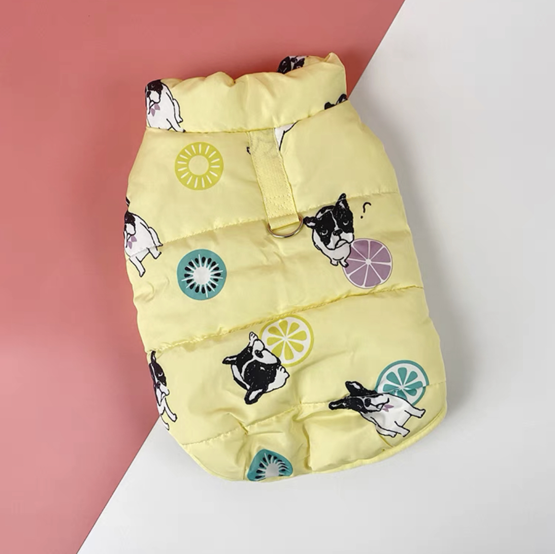 Warm water resistant winter coat for frenchies