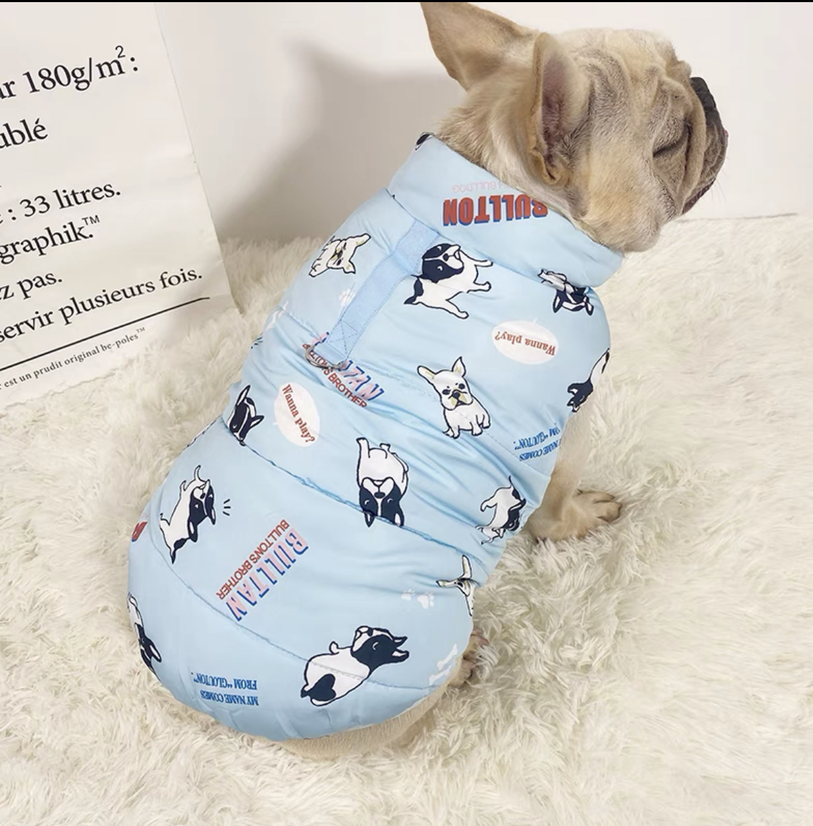 Warm water resistant winter coat for frenchies