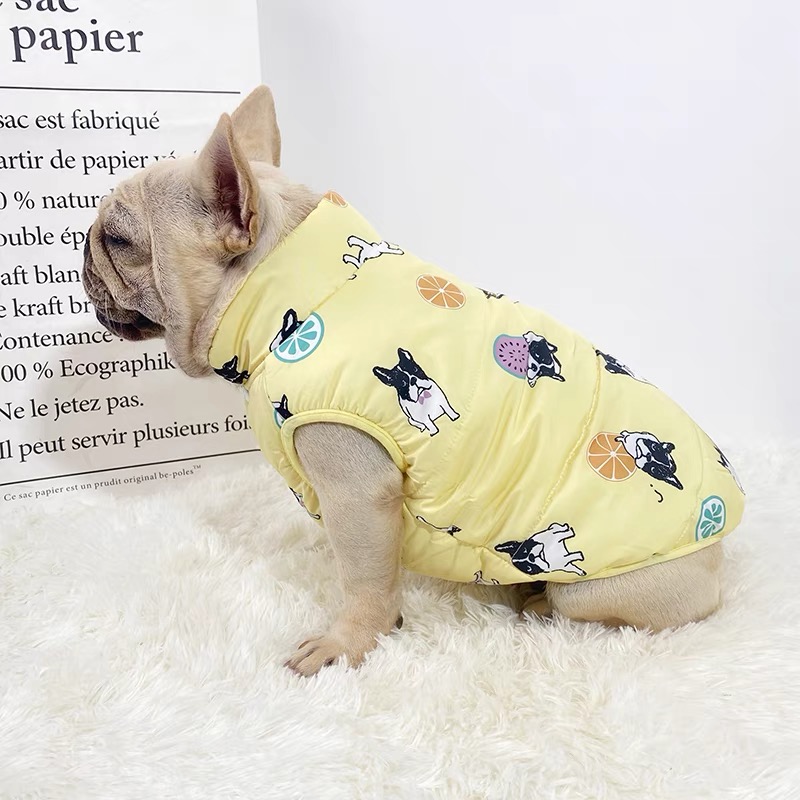 Warm water resistant winter coat for frenchies