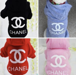 Styling Sweaters for small breed dogs