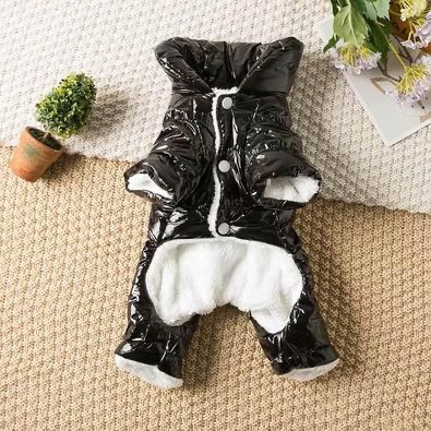 Dog winter jackets for small dogs