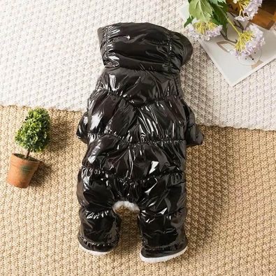 Dog winter jackets for small dogs