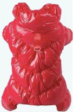 Dog winter jackets for small dogs