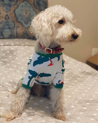 Cute dog pajamas