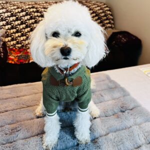 Pet sweaters for small dogs and cats