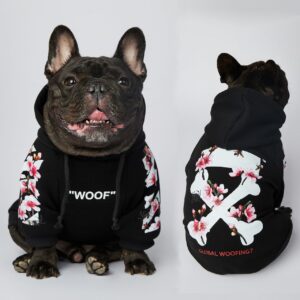 Stylish warm dog hoodies