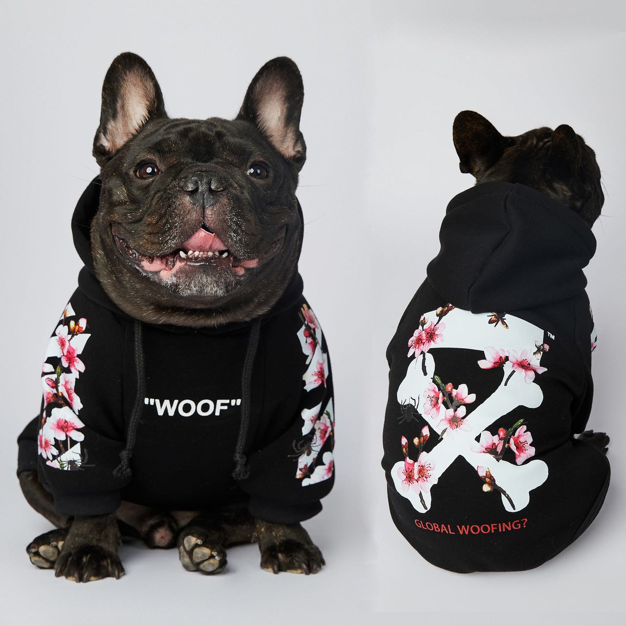 Stylish warm dog hoodies