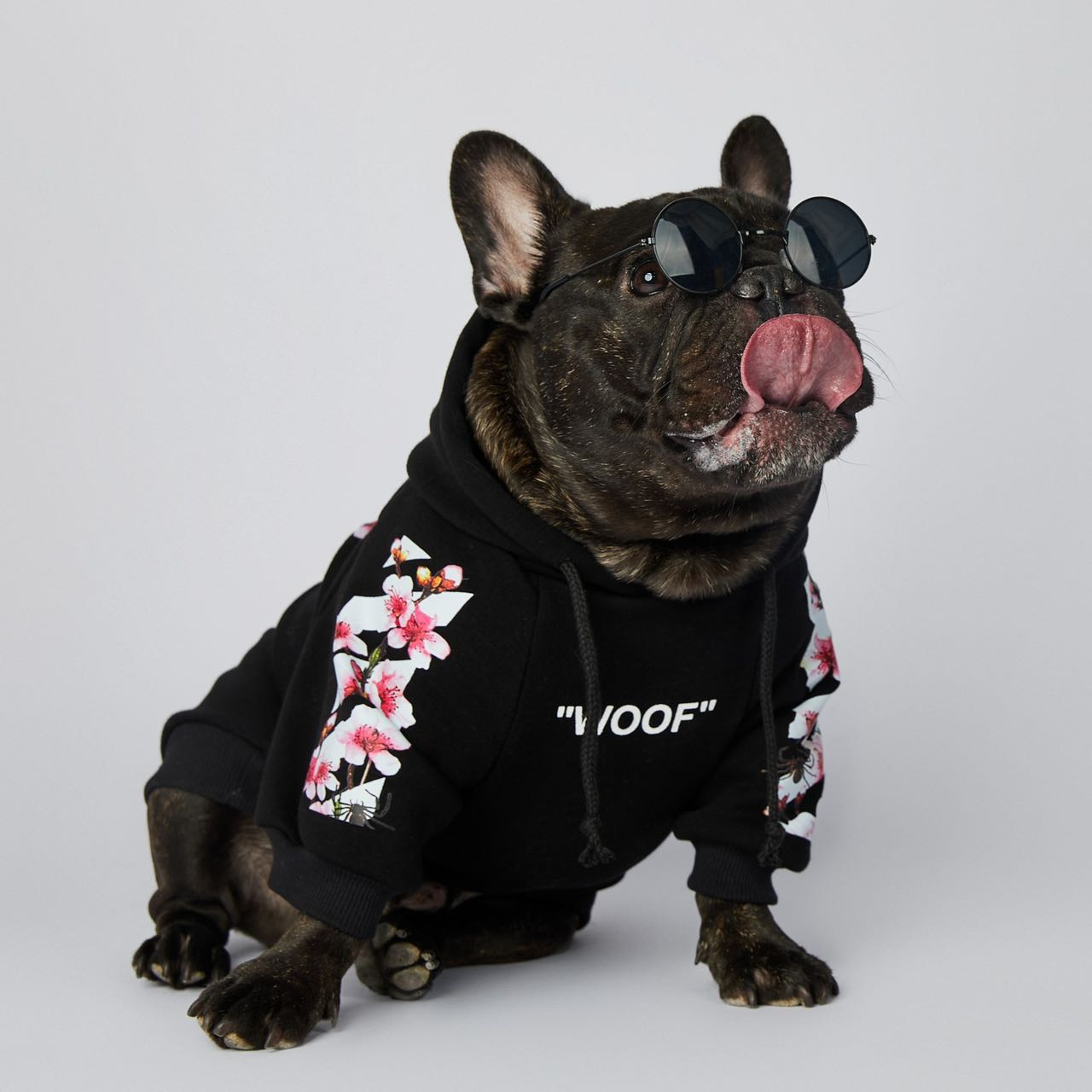 Stylish warm dog hoodies
