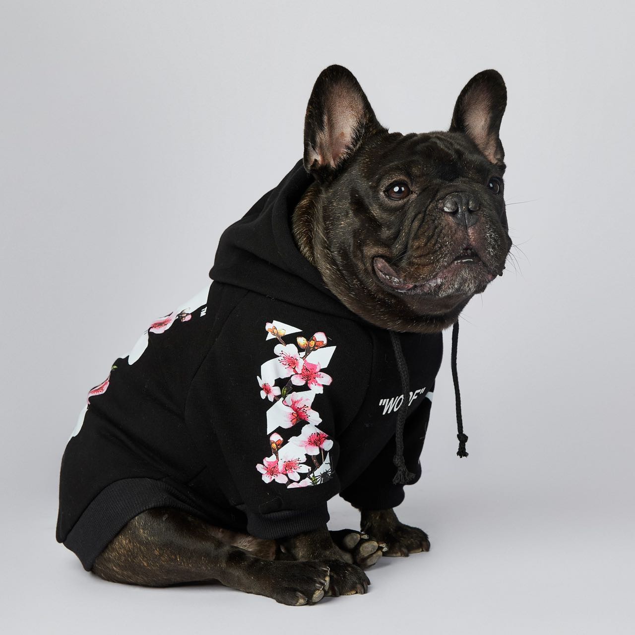 Stylish warm dog hoodies