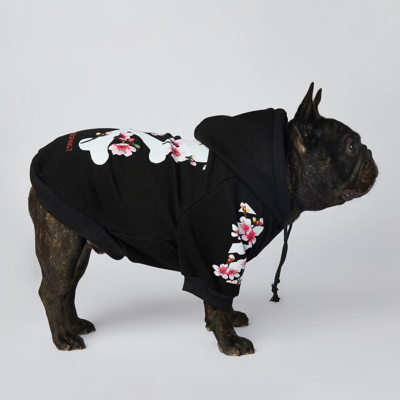 Stylish warm dog hoodies