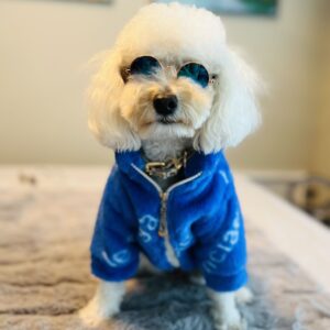 Super warm dog winter jackets