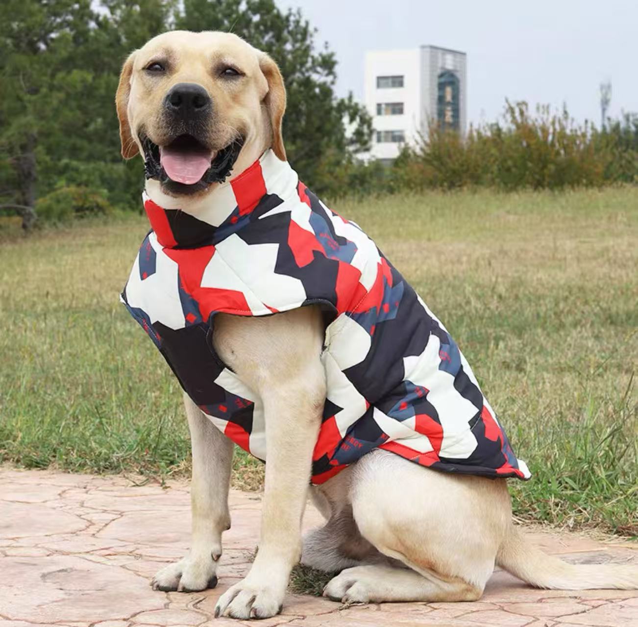 Winter Jackets for large breed dogs