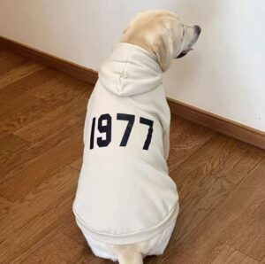New hoodies for large breed dogs
