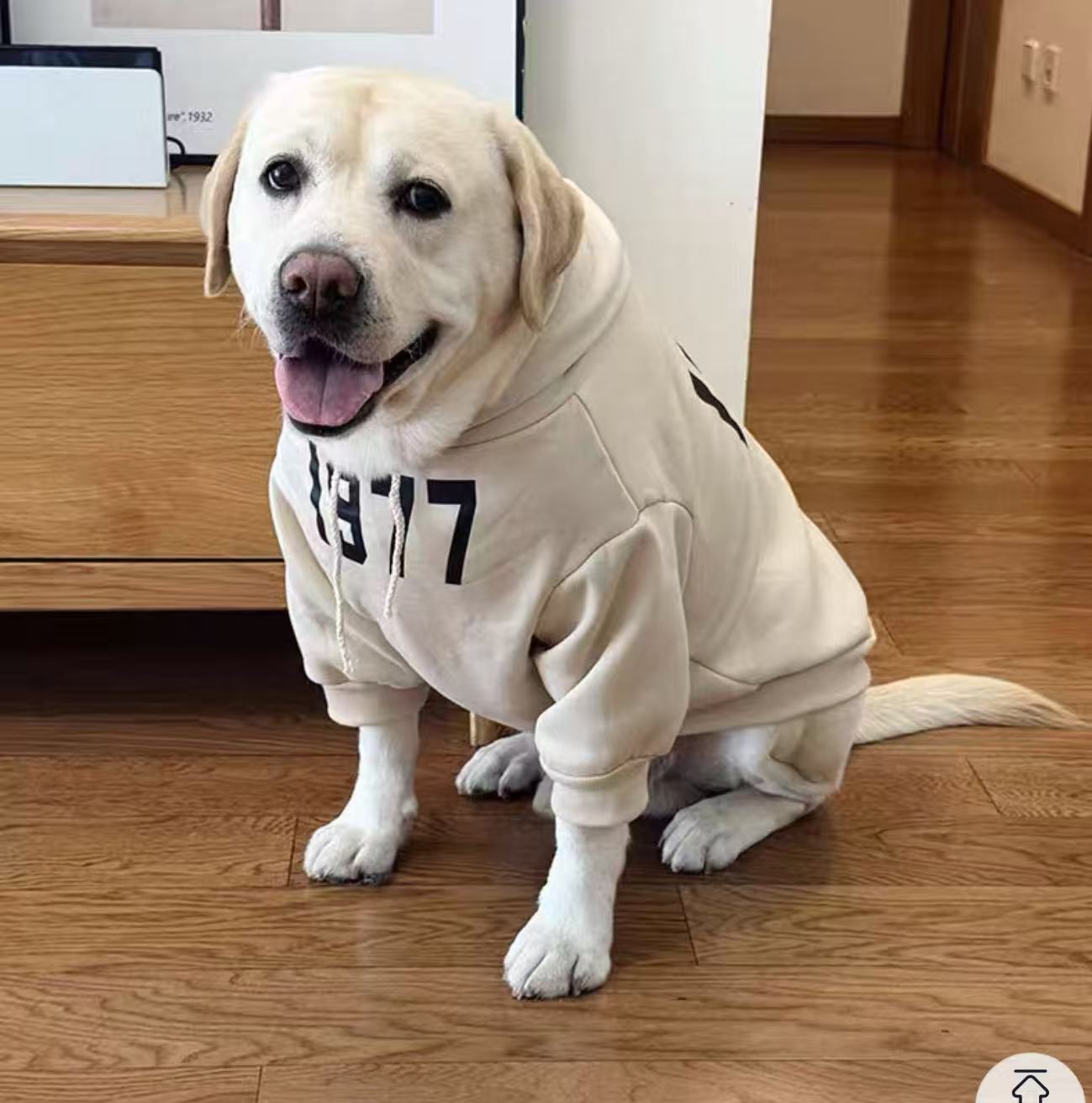 New hoodies for large breed dogs