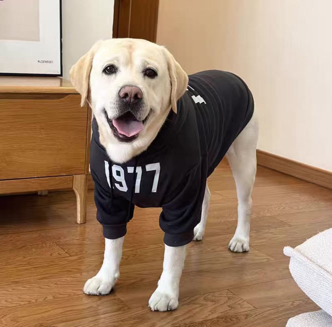 New hoodies for large breed dogs