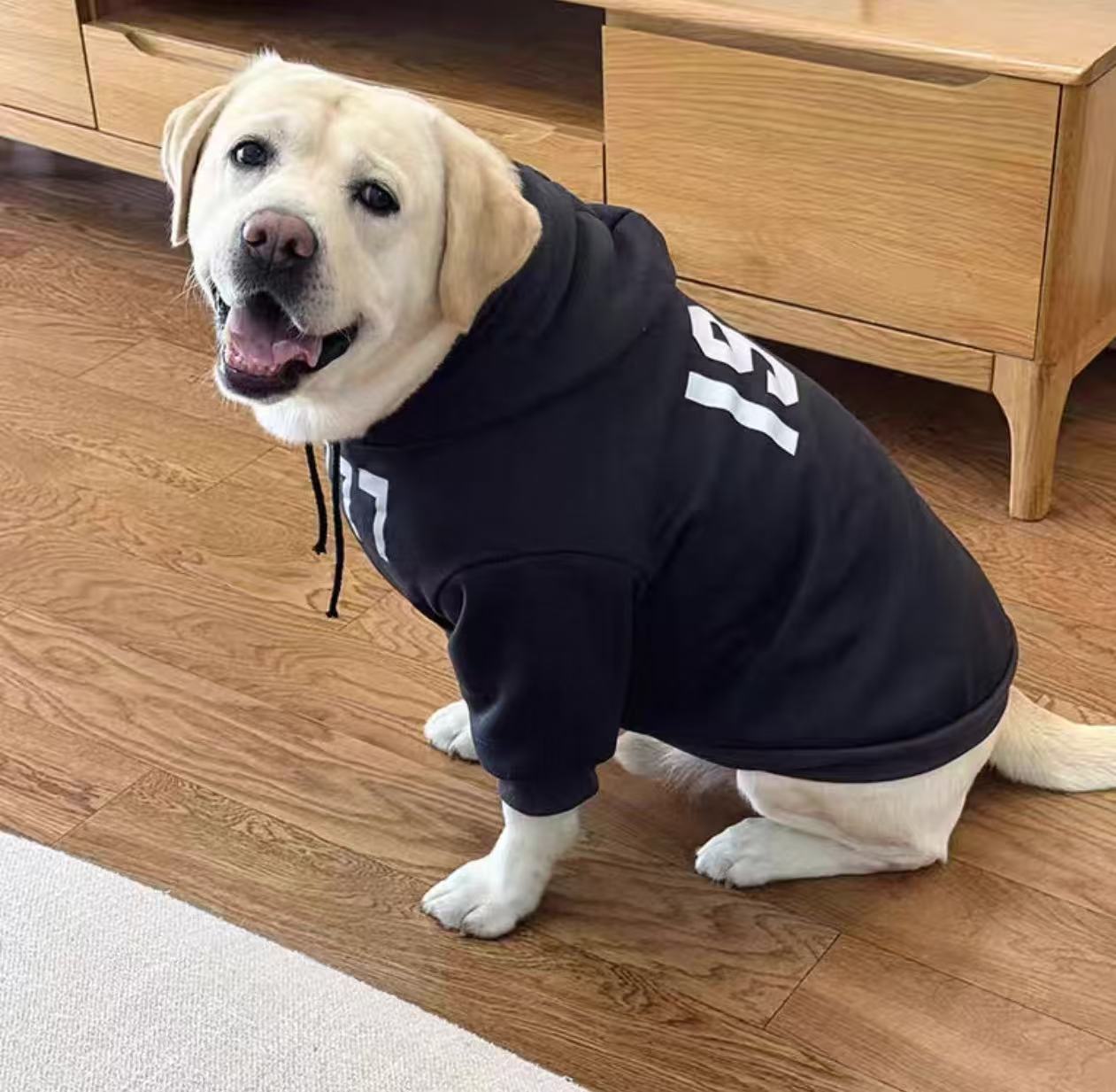 New hoodies for large breed dogs